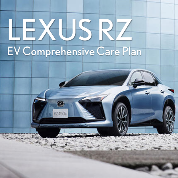 RZ EV Comprehensive Care Plan